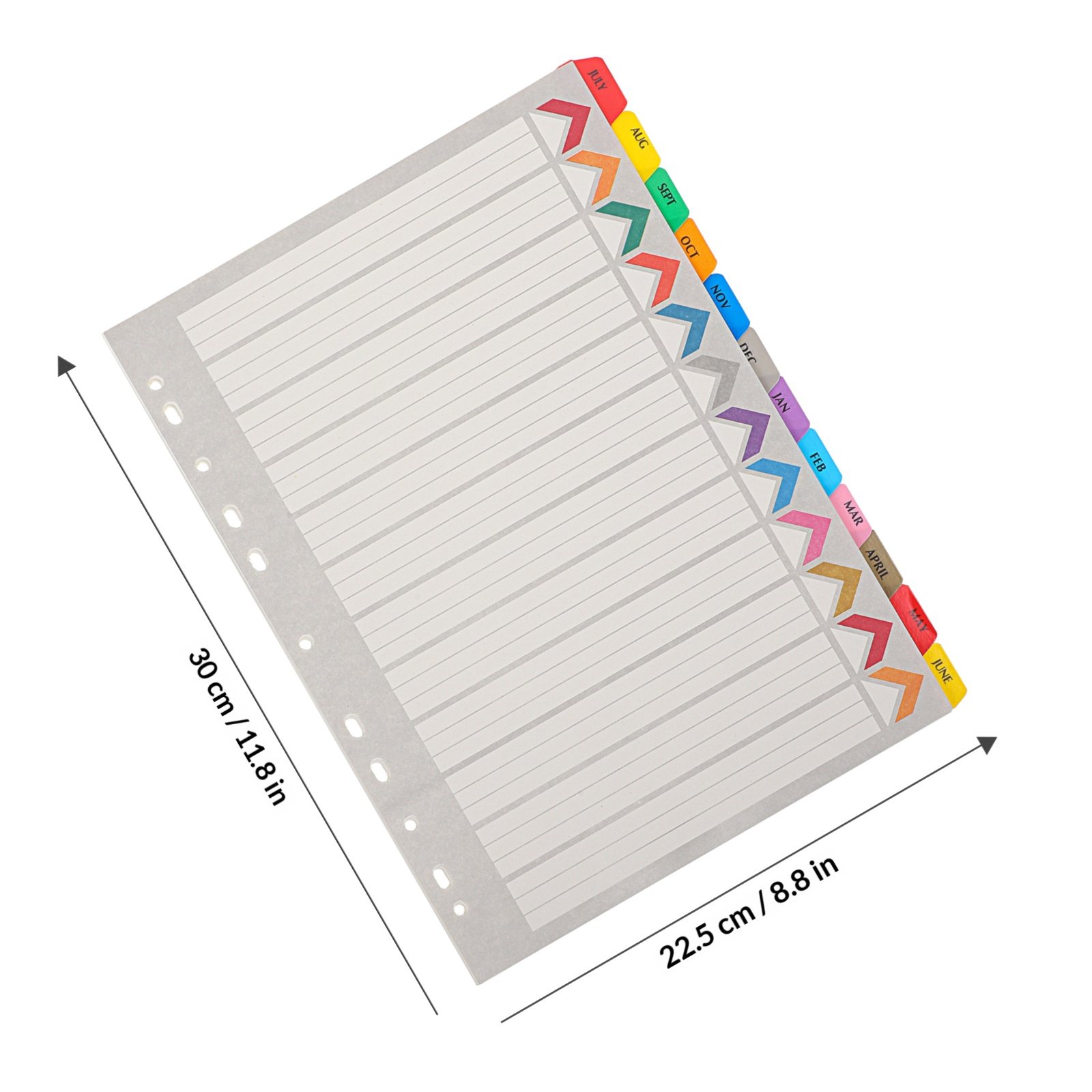 12 Divisori per Raccoglitori c - Tab Divider A4 recensione e prezzo