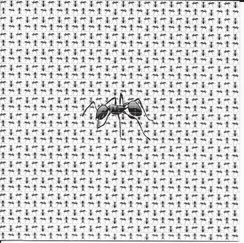 Formiche Animale Psichedelico  - Ink Blotter Paper recensione e prezzo