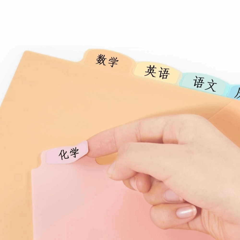 8 divisori per raccoglitori A4 - Tab Divider A4 recensione e prezzo